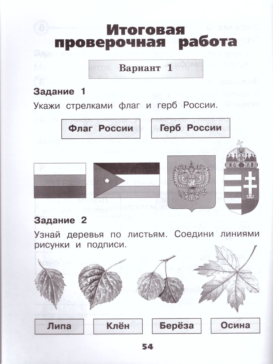 Обложка книги Окружающий мир 1 класс. Проверочные работы. УМК "Школа России", Автор Плешаков А.А. Плешаков С.А., издательство Просвещение | купить в книжном магазине Рослит
