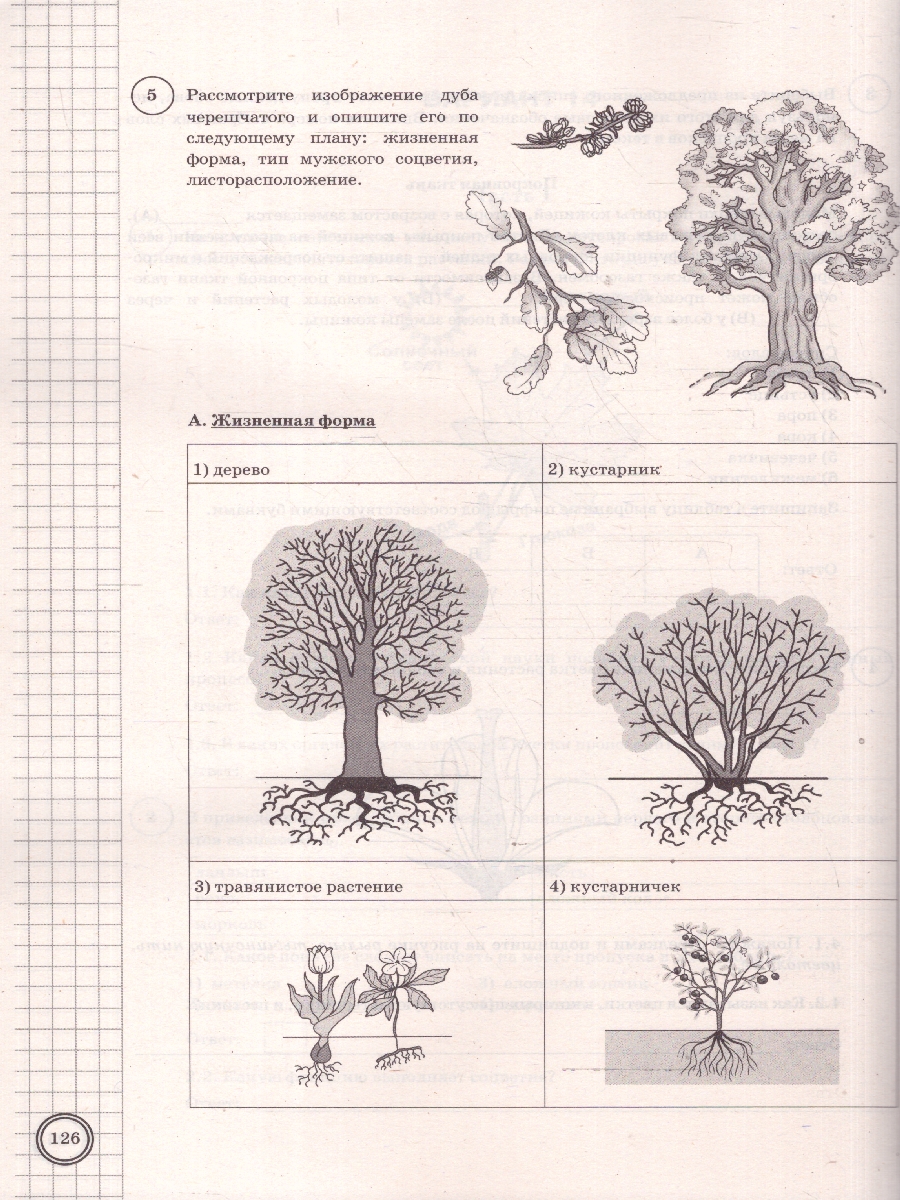 Обложка книги ВПР Биология 6 класс. Типовые задания. 25 вариантов. ФИОКО СТАТГРАД. ФГОС Новый, Автор Иголкина Е. А.;Богданов Н. А., издательство Экзамен | купить в книжном магазине Рослит