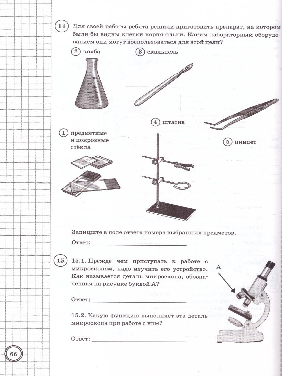 Обложка книги ВПР Биология 5 класс. Типовые задания. 10 вариантов. ФИОКО СТАТГРАД. ФГОС НОВЫЙ, Автор Банникова Н. А.; Богданов Н. А., издательство Экзамен | купить в книжном магазине Рослит