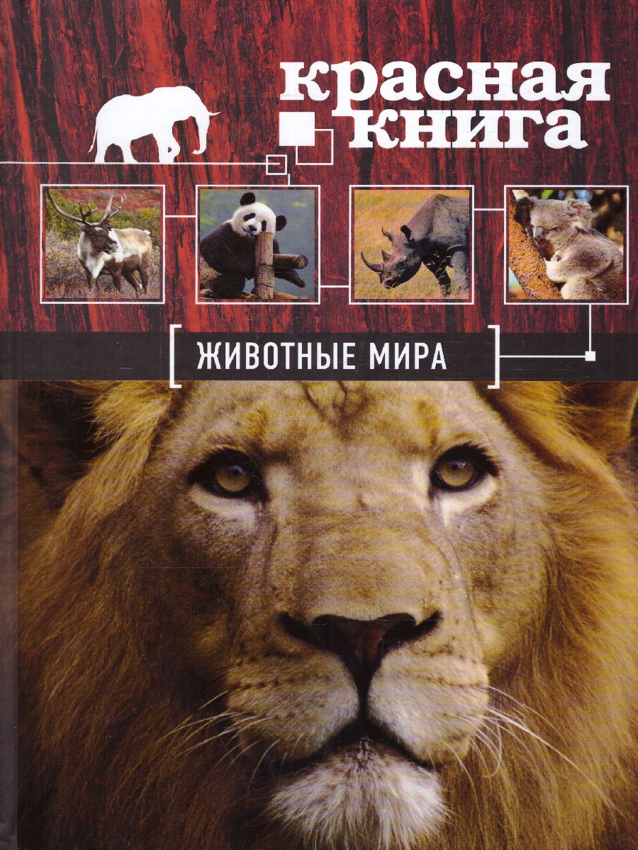Обложка Красная книга. Животные мира / Красная книга для больших и маленьких, издательство ЭКСМО | купить в книжном магазине Рослит