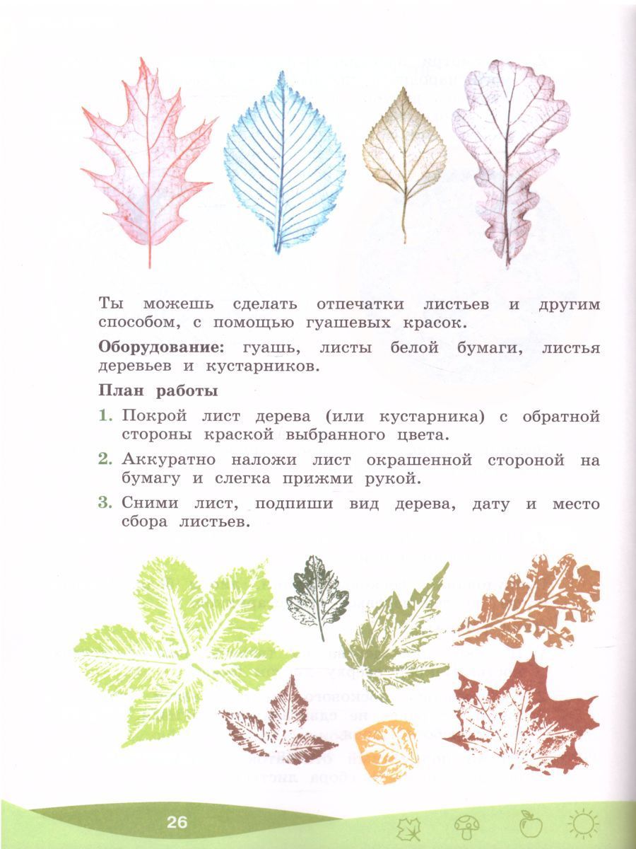 Обложка книги Что мы знаем про то, что нас окружает? Тетрадь-практикум в 2-х частях. Часть 1, Автор Лагутенко О.И. Алексашина И.Ю., издательство Просвещение/Союз                                   | купить в книжном магазине Рослит