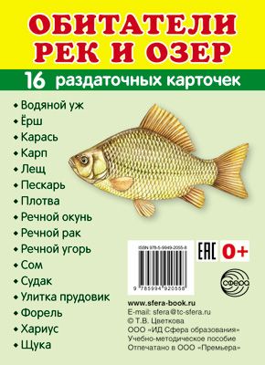 Обложка книги Демонстрационные картинки СУПЕР Обитатели рек и озер.16 раздаточных карточек с текстом (63х87 мм), Автор , издательство Сфера | купить в книжном магазине Рослит