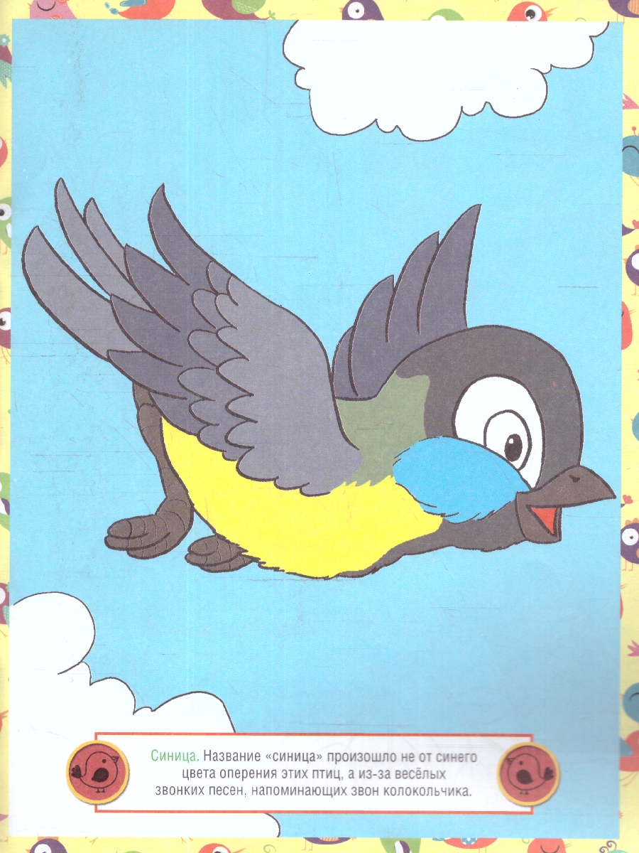 Обложка книги Раскраска детская. Птицы, Автор , издательство РУЗ Ко | купить в книжном магазине Рослит