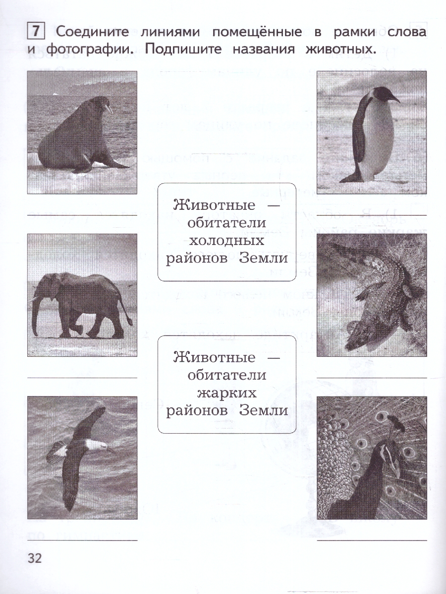 Обложка книги Окружающий мир 1 класс. Предварительный, текущий, итоговый контроль (ФП2022), Автор Глаголева Ю.И. Архипова Ю.И., издательство Просвещение | купить в книжном магазине Рослит
