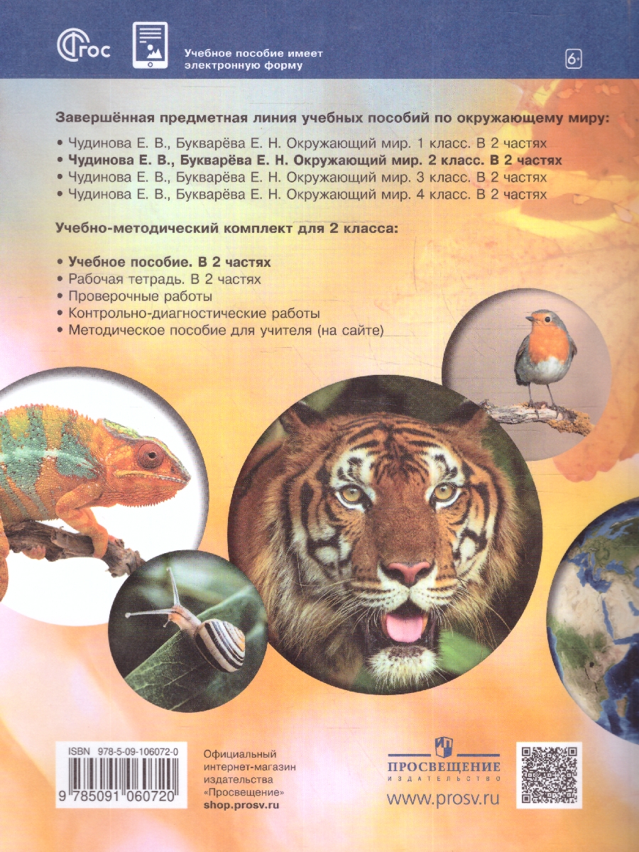 Обложка книги Окружающий мир 2 класс. Учебное пособие. В двух частях. Часть 1, Автор Чудинова Е. В. Букварева Е. Н., издательство Просвещение/Союз                                   | купить в книжном магазине Рослит