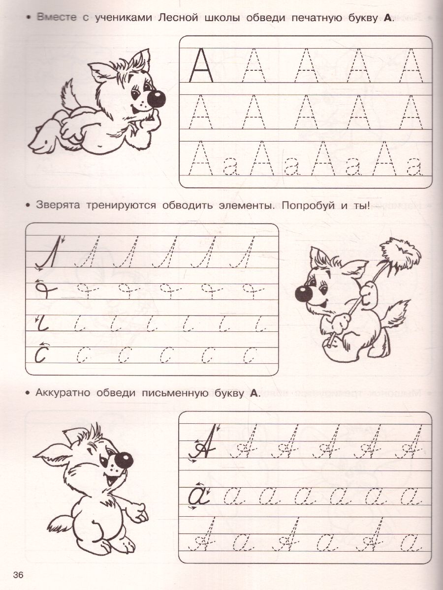 Обложка книги Каллиграфические прописи, Автор Дмитриева В.Г. Двинина Л.В., издательство АСТ | купить в книжном магазине Рослит