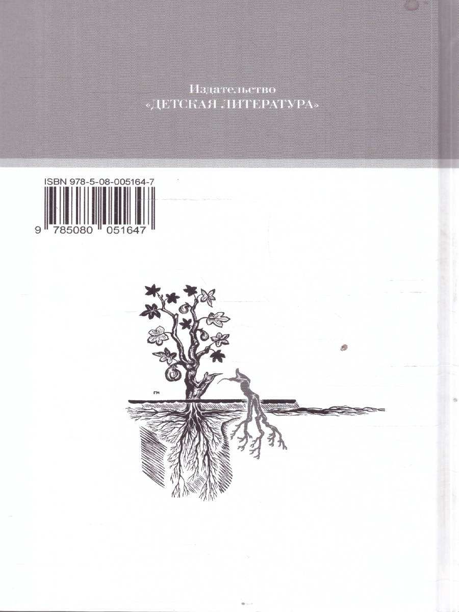 Обложка книги Анна Каренина Том 2, Автор Толстой Л., издательство Детская литература | купить в книжном магазине Рослит