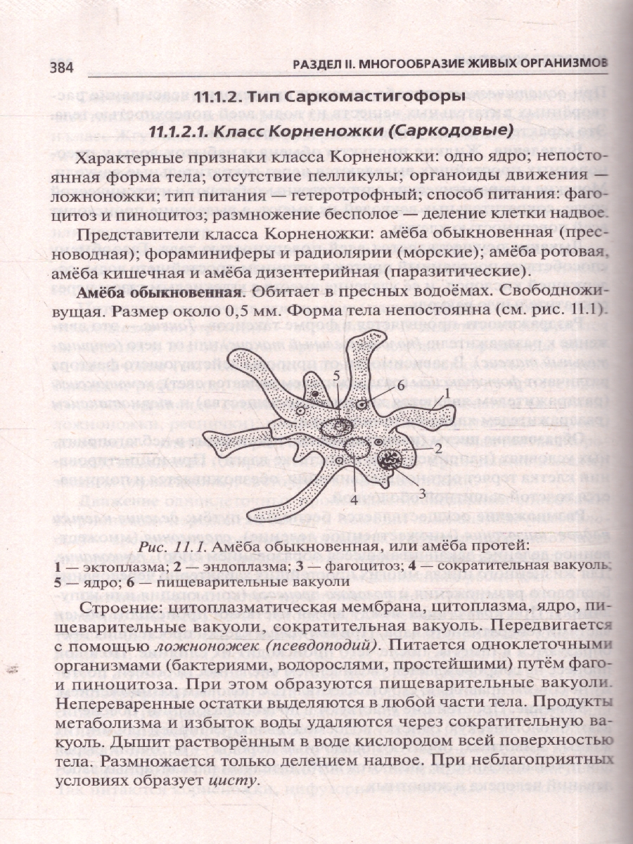 Обложка книги ЕГЭ и ОГЭ-2024. Биология 9-11 класс. Большой справочник, Автор Колесников С.И., издательство ЛЕГИОН | купить в книжном магазине Рослит
