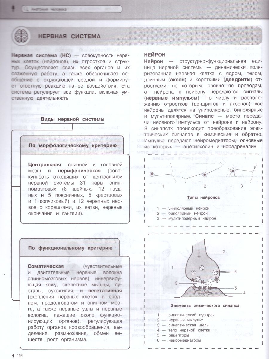 Обложка книги Биология Наглядный школьный курс: удобно и понятно, Автор Мазур О.Ч. Никитская Т.В., издательство ЭКСМО | купить в книжном магазине Рослит