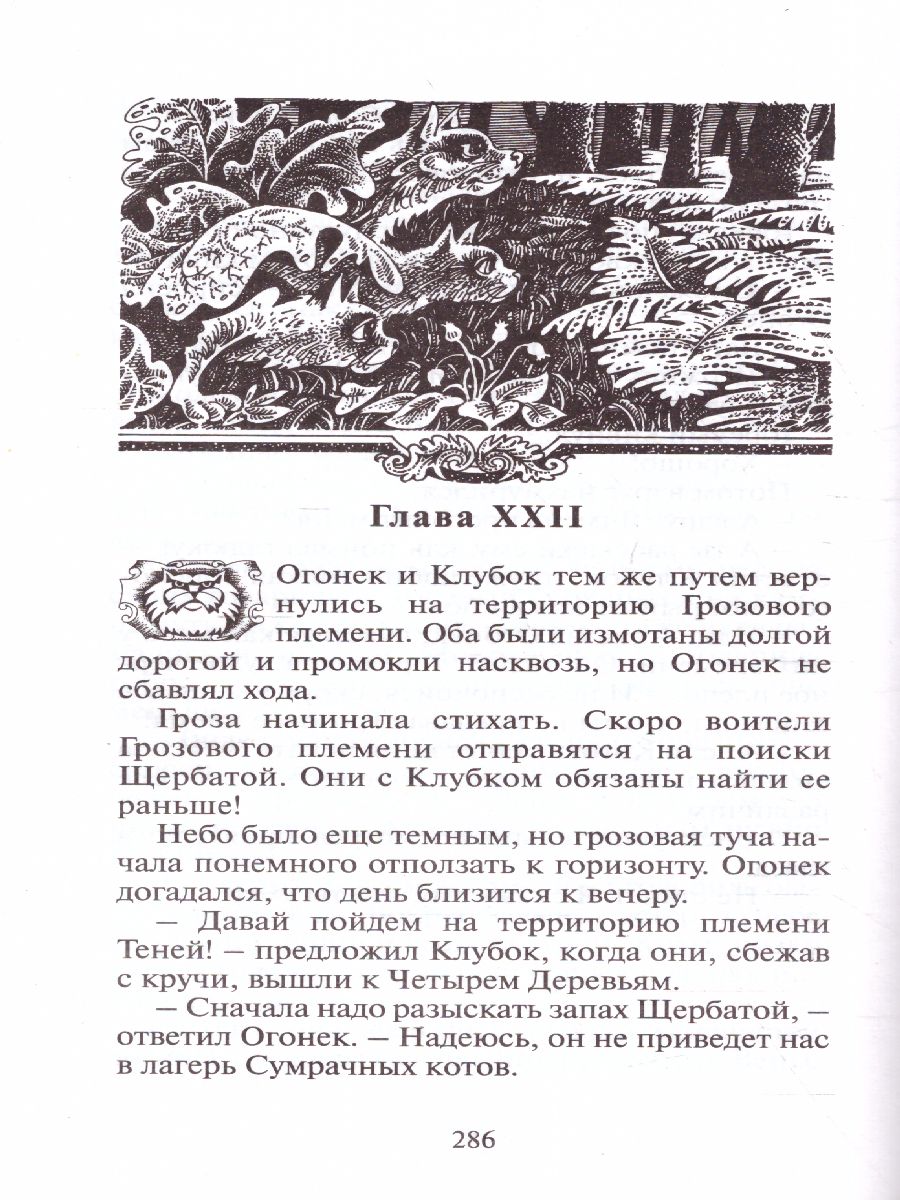 Обложка Коты-воители. Цикл "Воители". Стань диким!, издательство Просвещение/Союз                                   | купить в книжном магазине Рослит