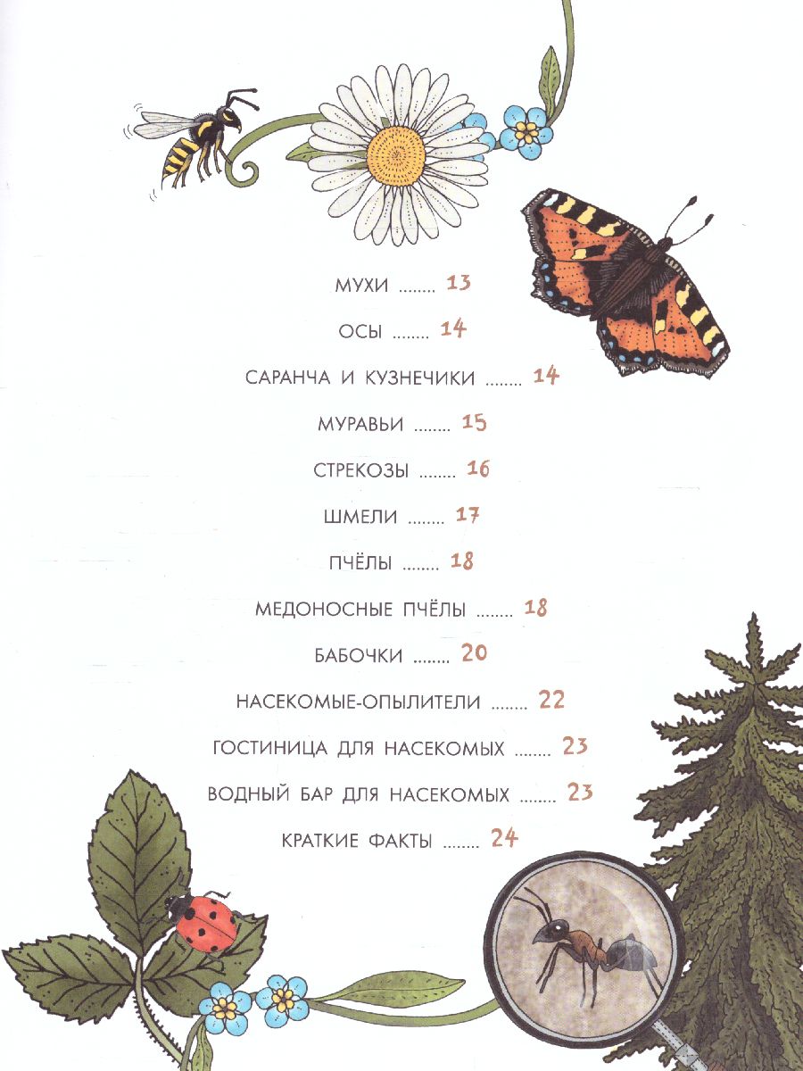 Обложка Насекомы /МояПервКнига, издательство АСТ | купить в книжном магазине Рослит