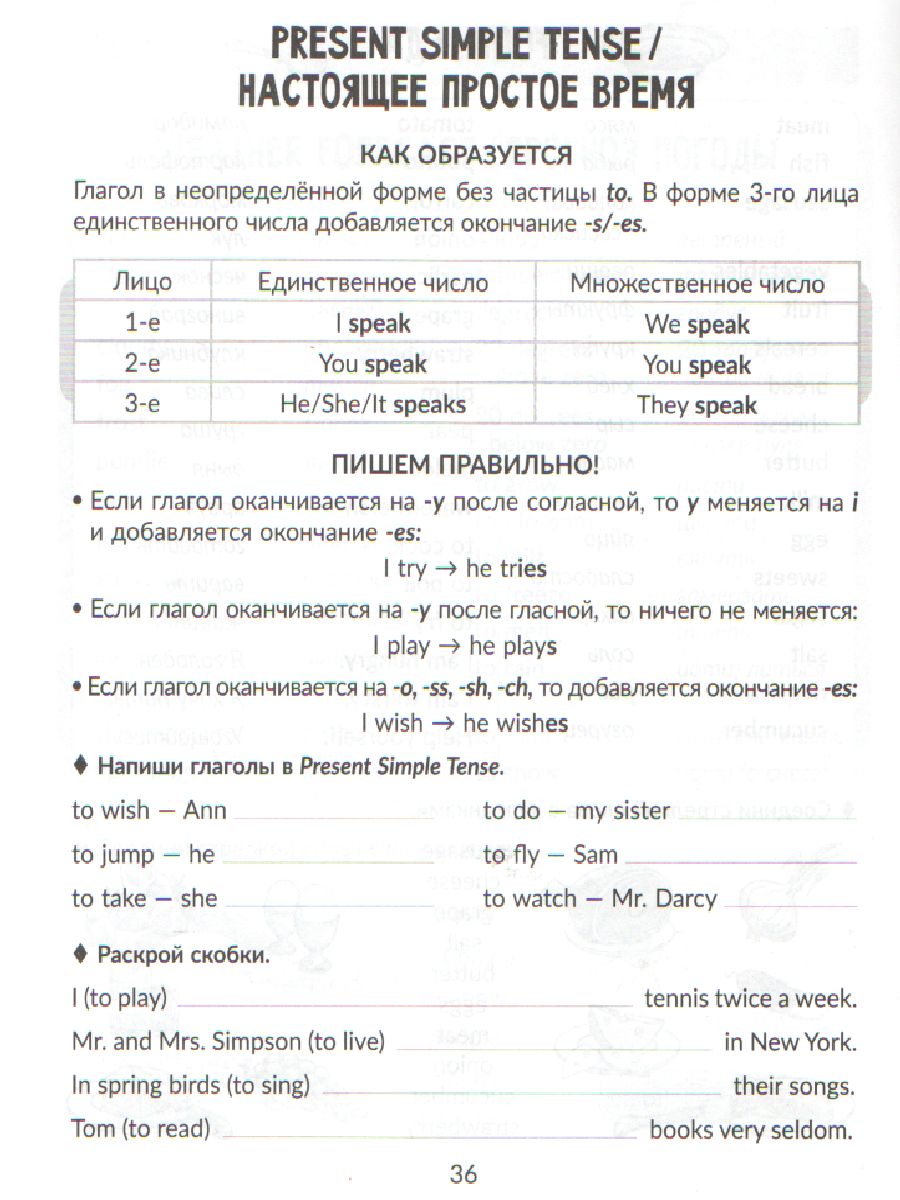 Обложка книги Все правила грамматики английского языка с наглядными примерами и тренировочными упражнениями 2-4 классы, Автор Ленская Е.А, издательство ЛИТЕРА | купить в книжном магазине Рослит