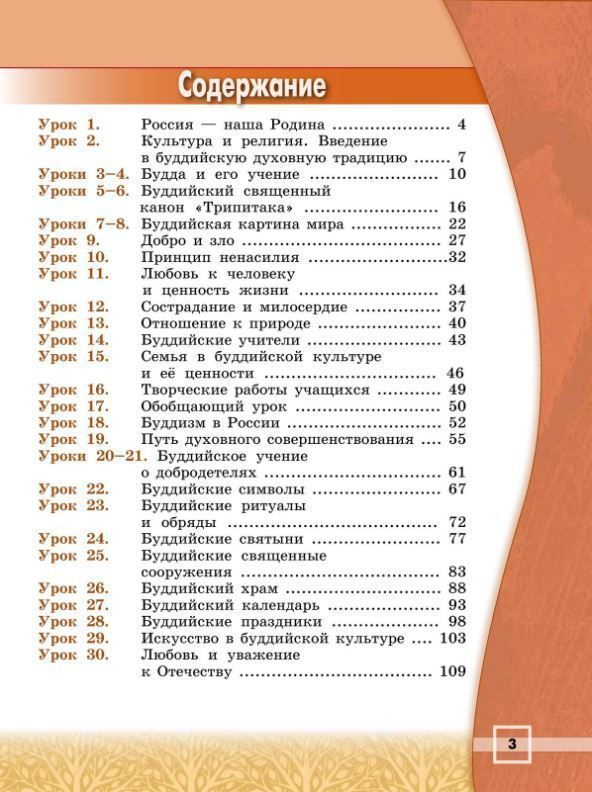 Обложка книги Основы буддийской культуры. 4 класс. Учебник. (ФП2022), Автор Чимитдоржиев В.Л., издательство Просвещение | купить в книжном магазине Рослит