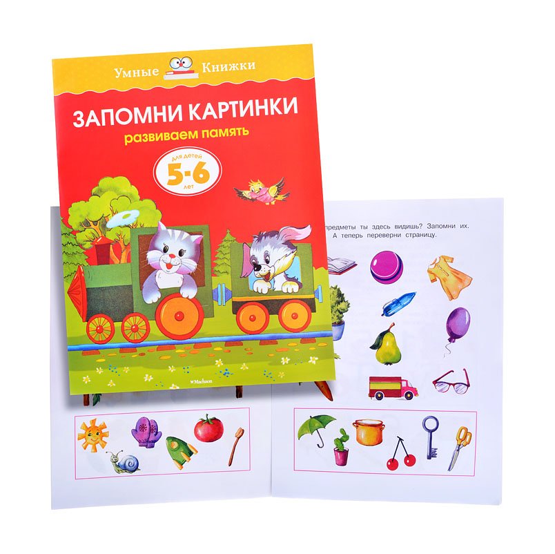 Обложка Запомни картинки 5-6 лет, издательство Махаон | купить в книжном магазине Рослит