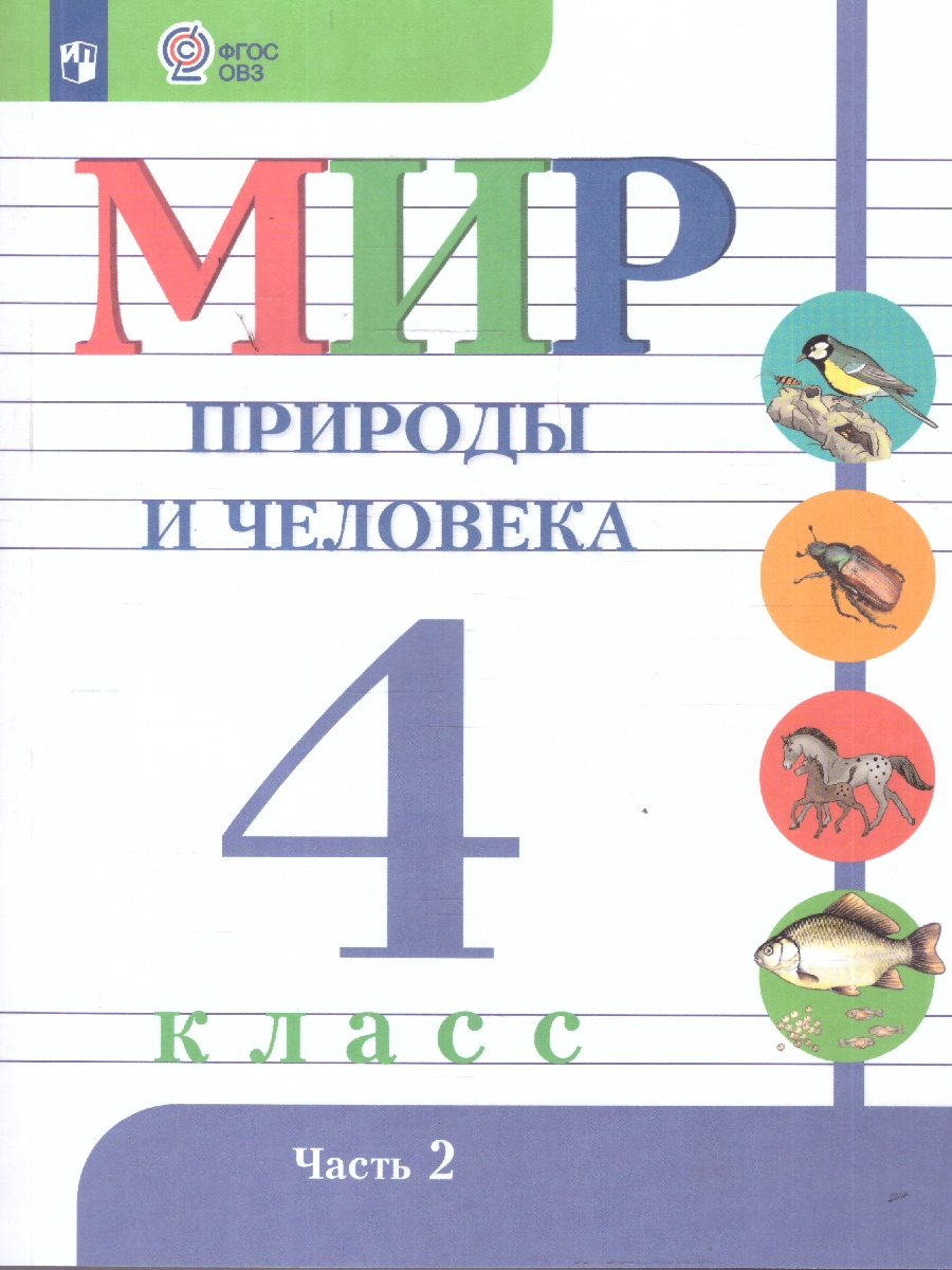 Обложка книги Мир природы и человека 4 класс. Учебник. В 2-х частях. Часть 2. ФГОС ОВЗ, Автор Матвеева Н. Б.; Ярочкина И. А.; Попова М. А., издательство Просвещение | купить в книжном магазине Рослит
