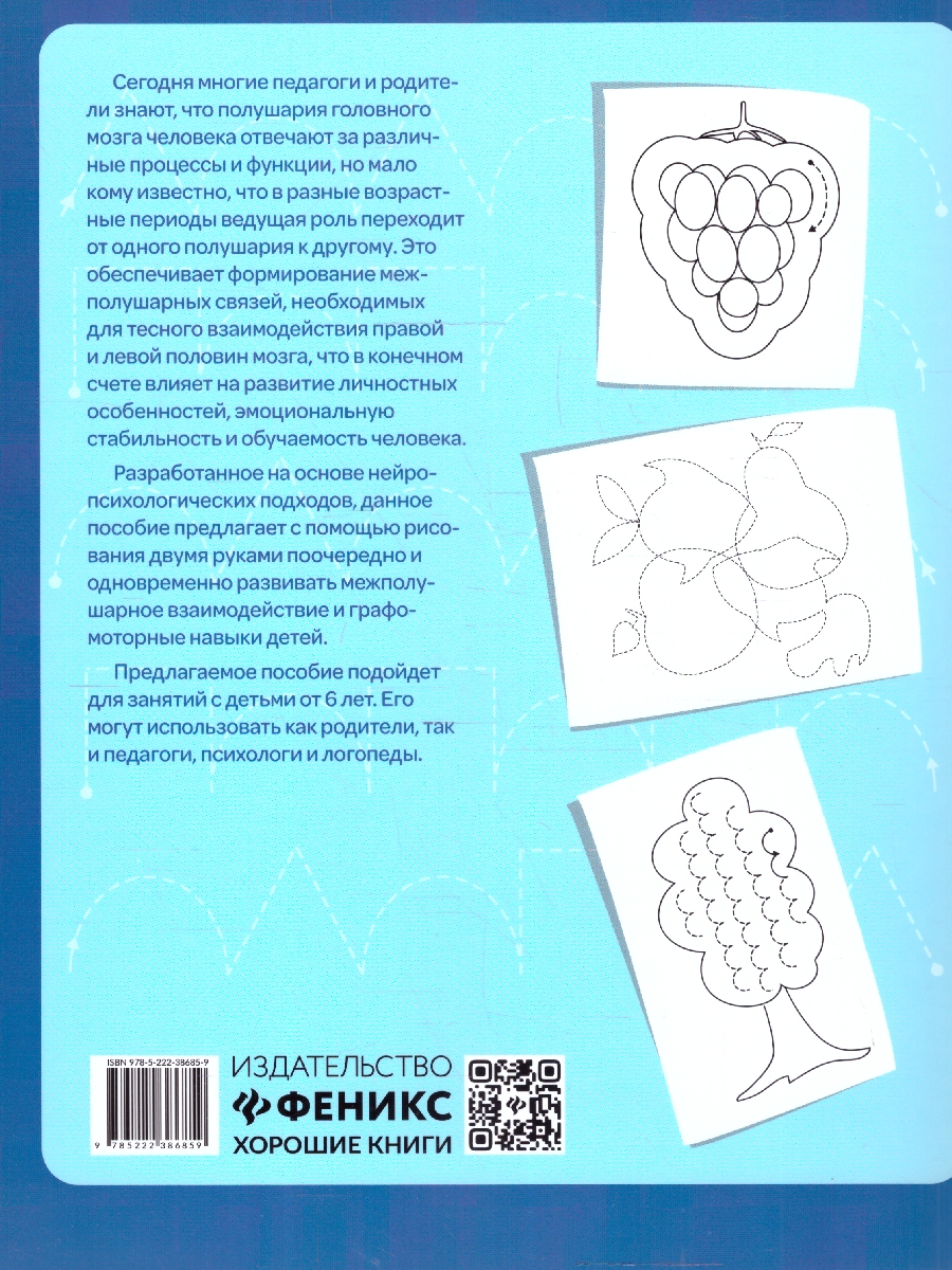 Обложка книги Правая, левая, вместе ! Межполушарное взаимодействие: рисуем фигуры, Автор Гусева Е. О., издательство Феникс ТД                                          | купить в книжном магазине Рослит