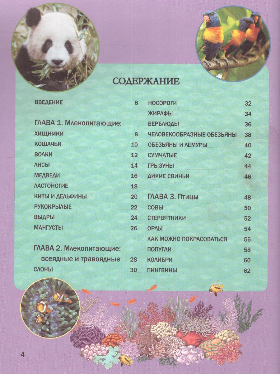 Обложка Энциклопедия. Животные. Для детей, издательство АСТ | купить в книжном магазине Рослит