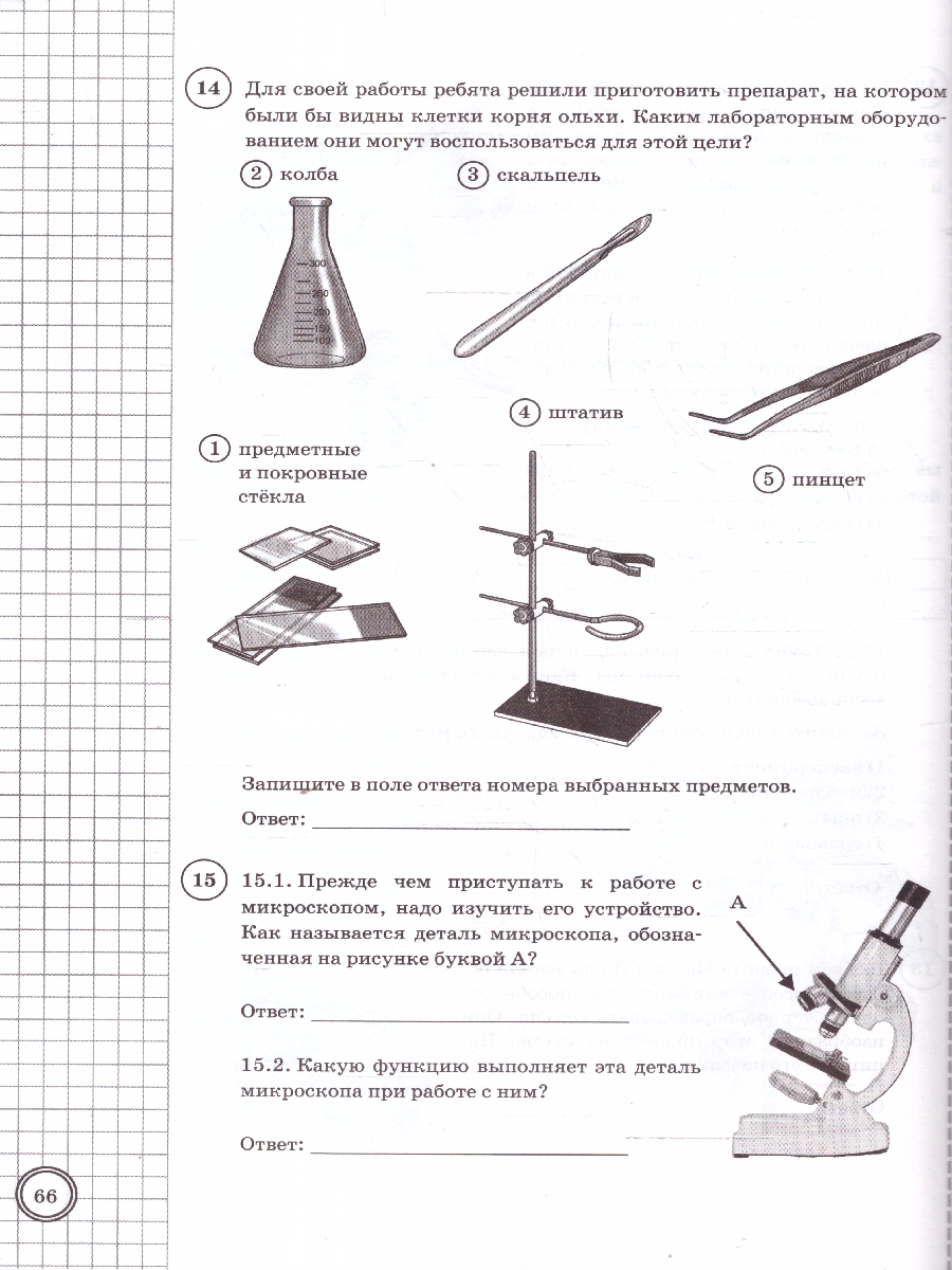 Обложка книги ВПР Биология 5 класс. Типовые задания. 10 вариантов. ФИОКО СТАТГРАД. ФГОС НОВЫЙ, Автор Банникова Н. А.; Богданов Н. А., издательство Экзамен | купить в книжном магазине Рослит