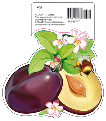 Обложка книги Вырубная фигурка Сливы М-10717 (с УФ-лаком, 190х160 мм) (Сфера), Автор М-10717, издательство Сфера | купить в книжном магазине Рослит