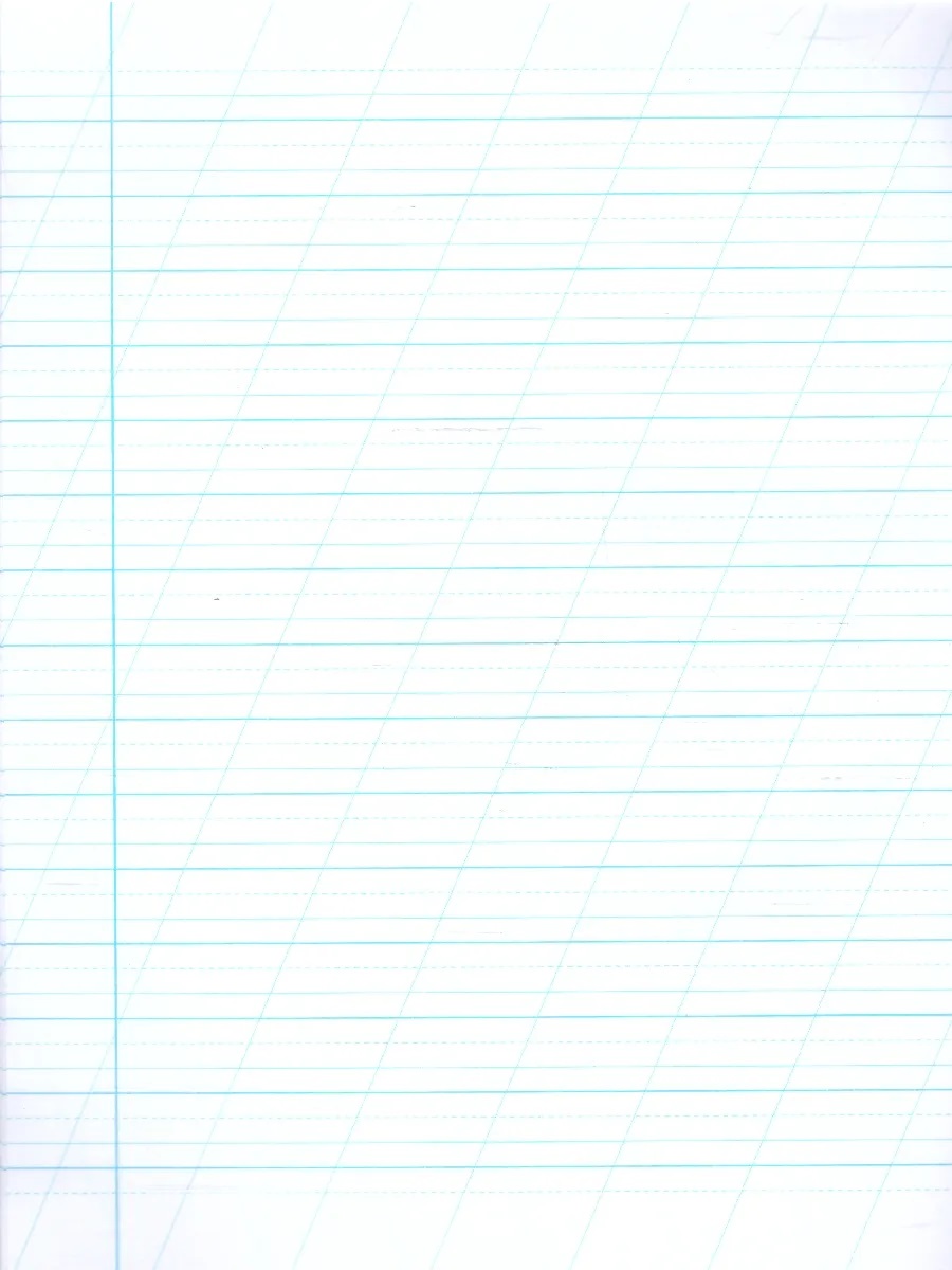 Обложка Набор тетрадей "Легко писать красиво!", редкая косая линия, 12 л, 50 шт (Мазина В.Д) от магазина Рослит