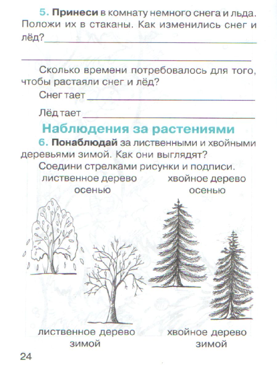 Обложка книги Дневник наблюдений 3 класс, Автор , издательство Росткнига | купить в книжном магазине Рослит