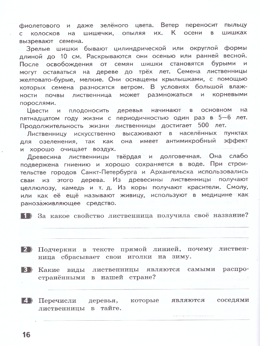 Обложка книги Литературное чтение 4 класс. Развиваем читательскую грамотность, Автор Круглова Т.А., издательство МТО инфо | купить в книжном магазине Рослит