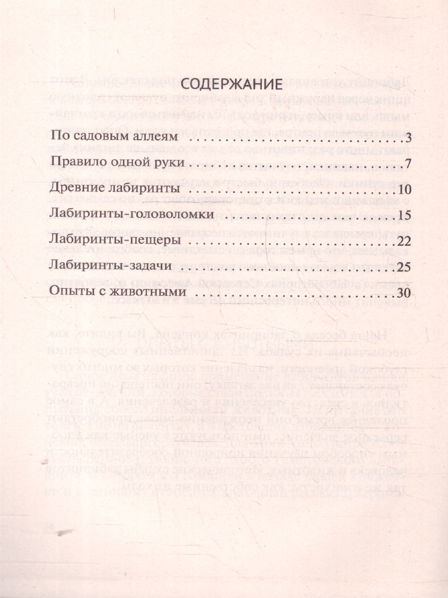 Обложка книги Лабиринты, Автор Перельман Я. И., издательство Проспект | купить в книжном магазине Рослит