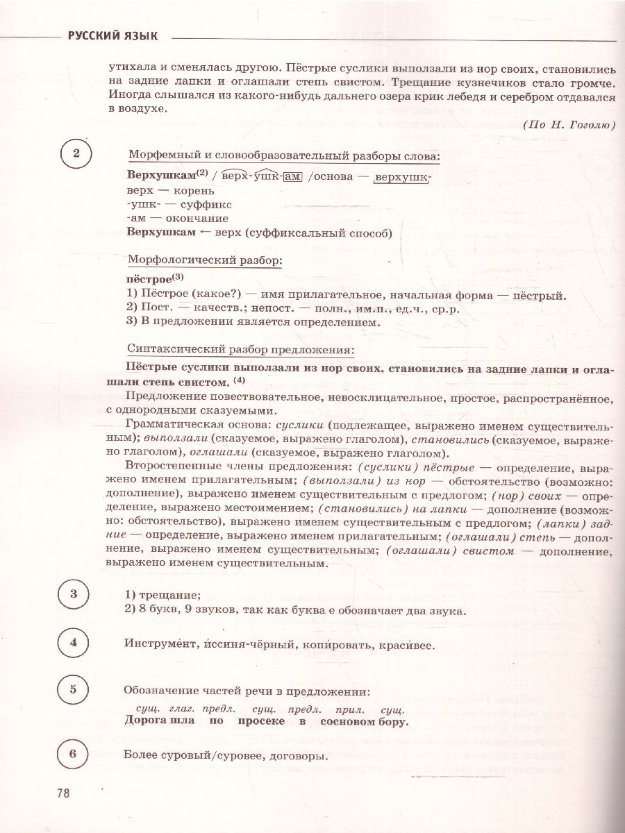 Обложка книги ВПР Русский язык 6 класс. Сборник вариантов проверочных работ, Автор Текучева И. В., издательство АСТ | купить в книжном магазине Рослит