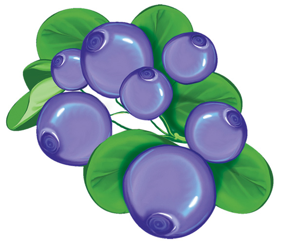 Обложка книги Вырубная фигурка Черничка М-14221 (УФ-лак)(Сфера), Автор М-14221, издательство Сфера | купить в книжном магазине Рослит