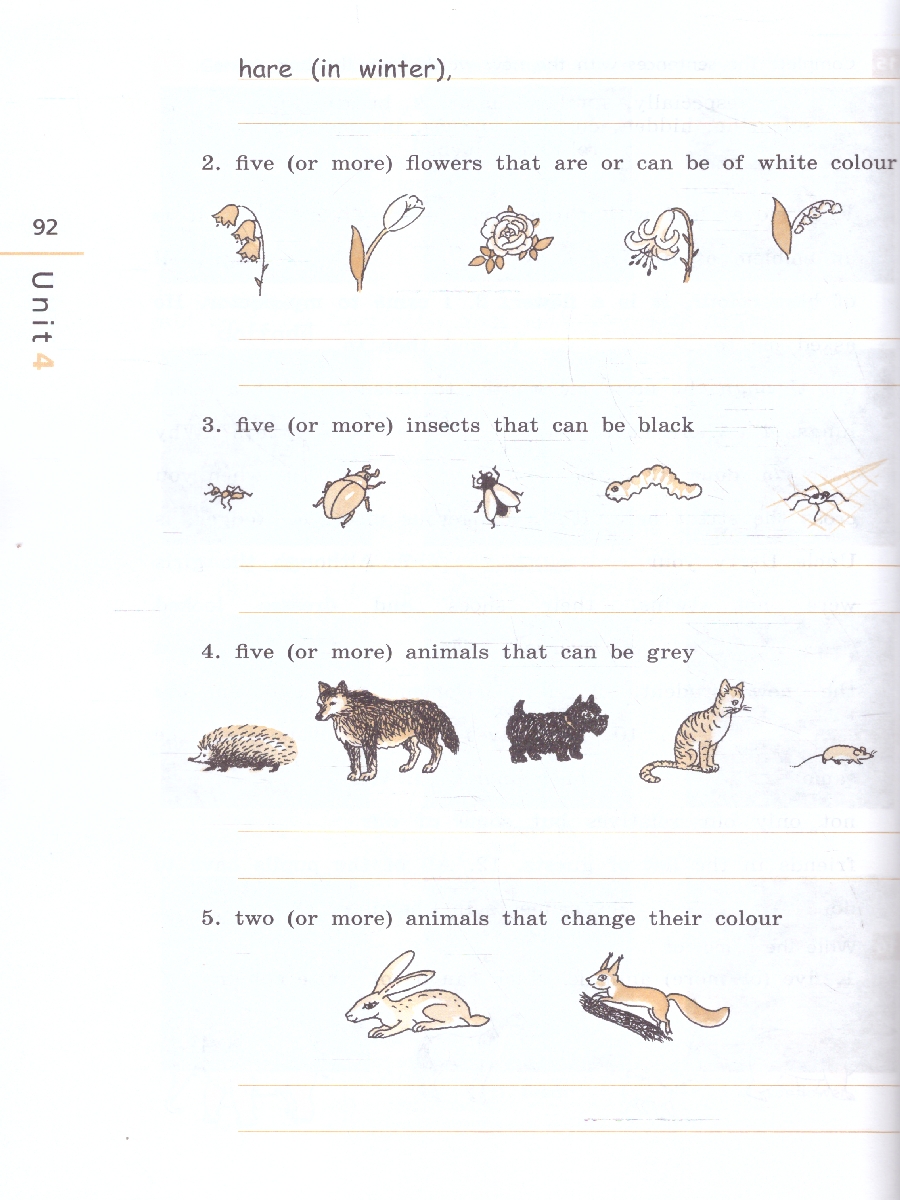 Обложка книги Английский язык 7 класс. Рабочая тетрадь. УМК Rainbow English. К новому учебному пособию. ФГОС, Автор Афанасьева О.В. Михеева И.В. Баранова К.М., издательство Просвещение | купить в книжном магазине Рослит