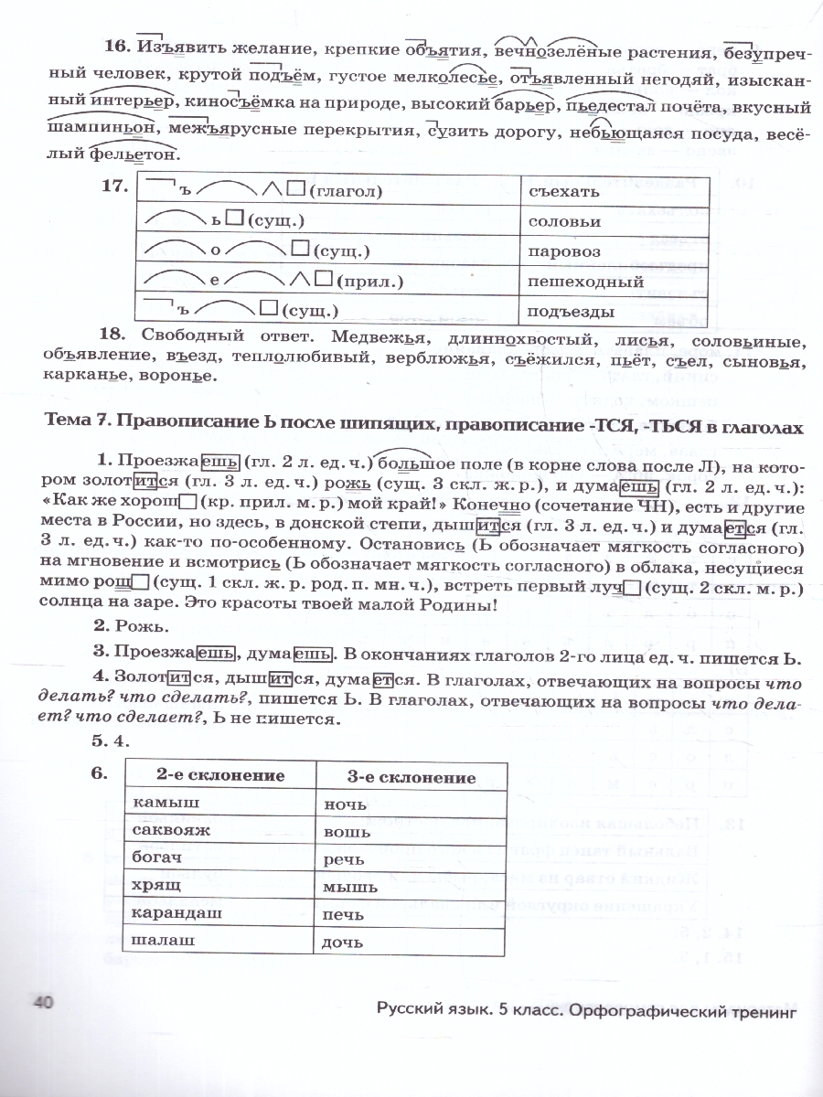 Обложка книги Русский язык 5 класс. Орфографический тренинг, Автор Сенина Н. А., издательство ЛЕГИОН | купить в книжном магазине Рослит
