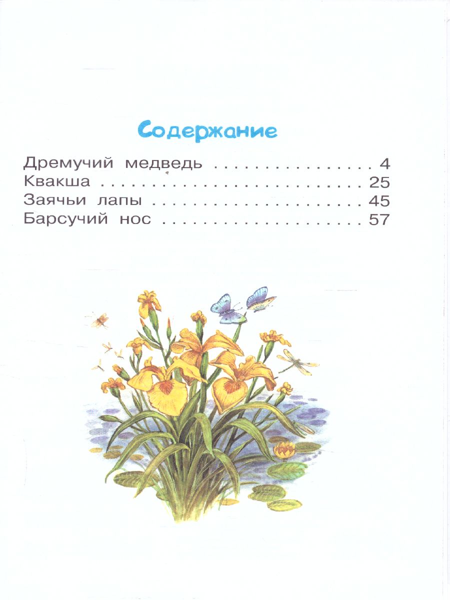 Обложка книги Барсучий нос. Сказки и рассказы, Автор Паустовский К.Г., издательство АСТ | купить в книжном магазине Рослит