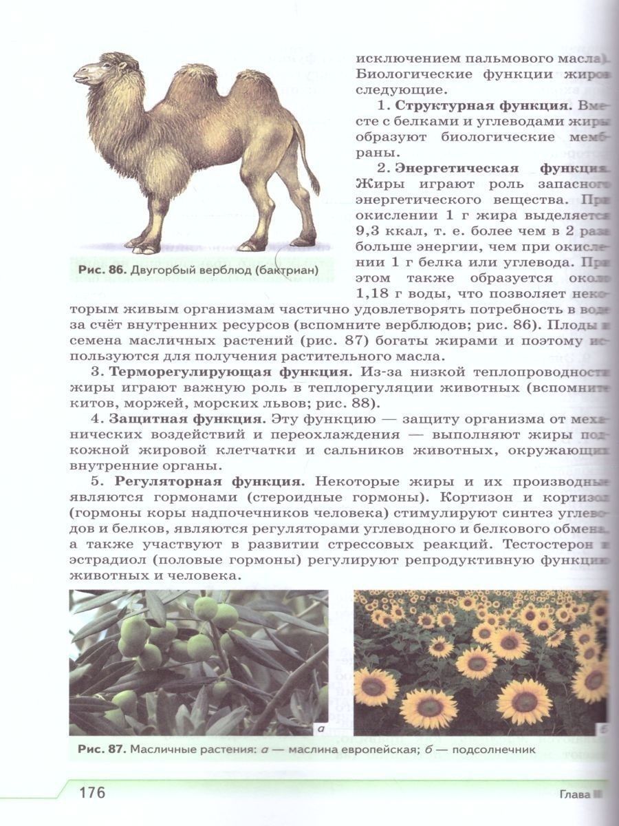 Обложка книги Естествознание 10 класс. Учебник. Вертикаль. ФГОС, Автор Габриелян О.С. Остроумов И.Г. Пурышева Н.С., издательство Просвещение | купить в книжном магазине Рослит