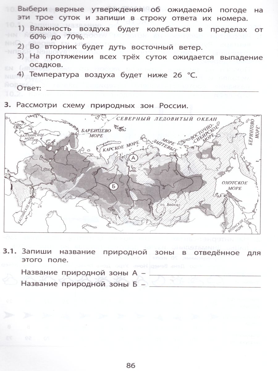 Обложка книги Окружающий мир 4 класс. 10 вариантов итоговых работ для подготовки к ВПР, Автор Скворцов П.М., издательство Издательство Интеллект-центр | купить в книжном магазине Рослит