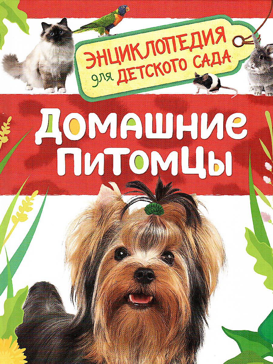 Обложка Домашние питомцы. Энциклопедия для детского сада, издательство РОСМЭН | купить в книжном магазине Рослит