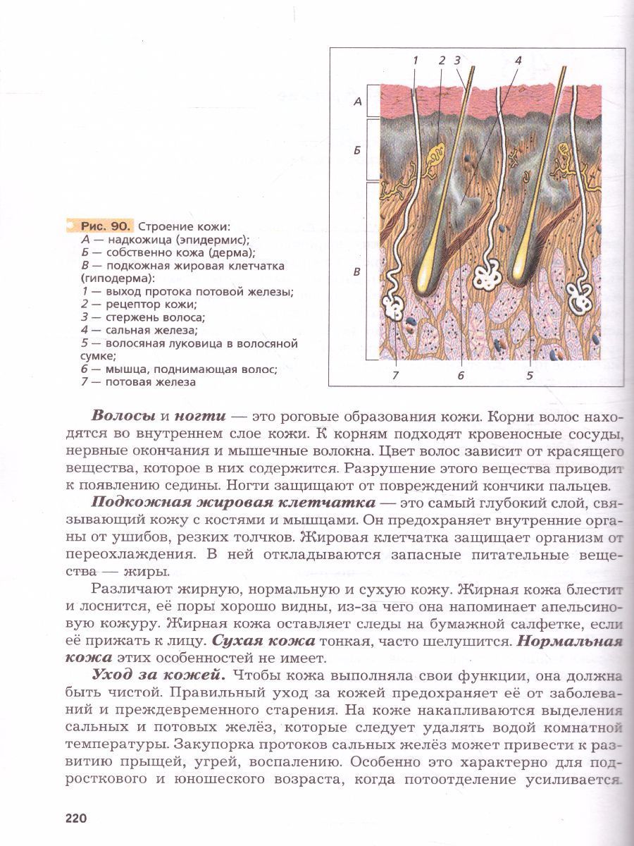 Обложка книги Биология 8 класс. Учебник. ФП, Автор Драгомилов Александр Григорьевич; Маш Реми Давидович, издательство Вентана-Граф | купить в книжном магазине Рослит