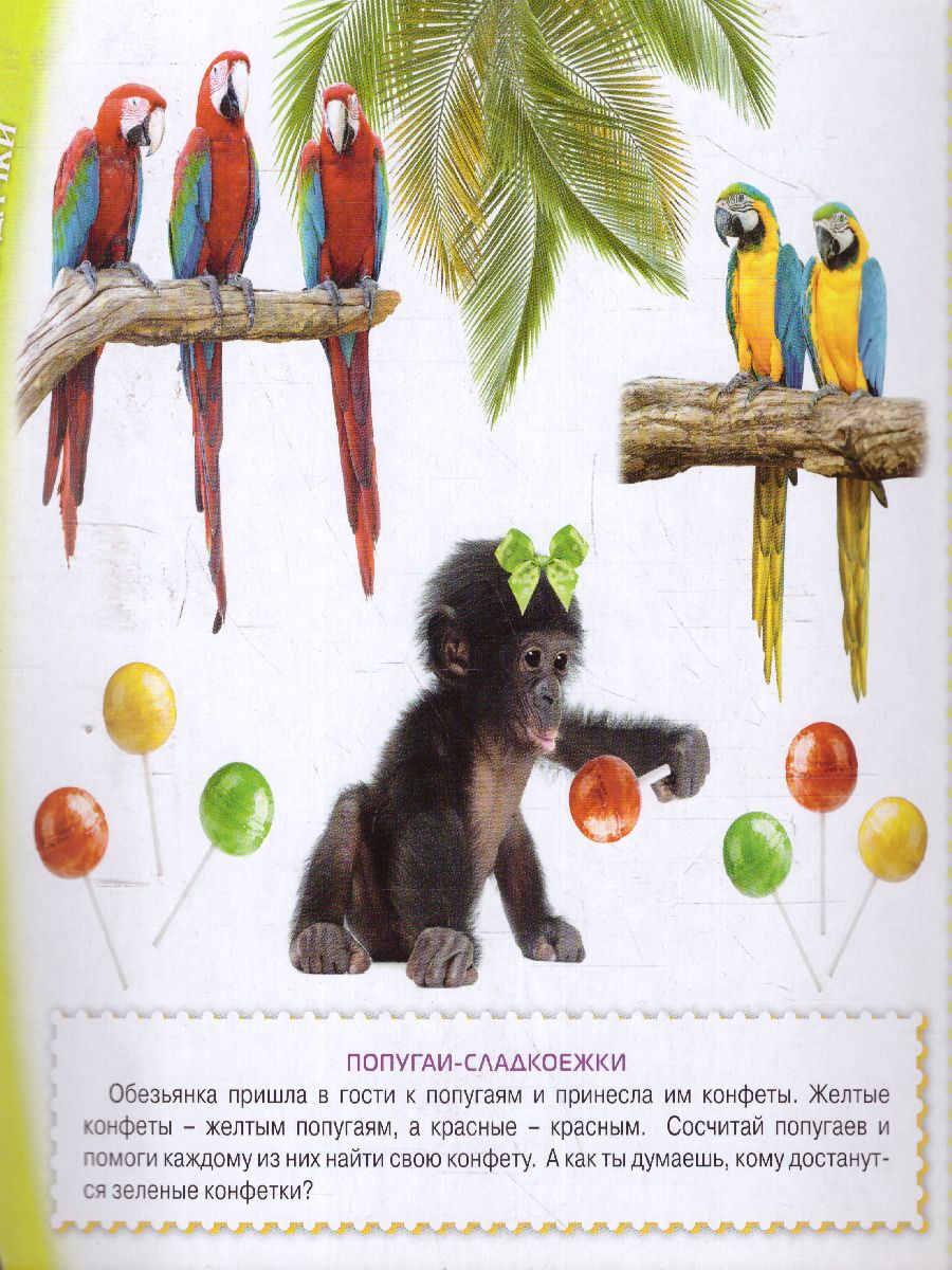 Обложка Счёт, издательство Олма | купить в книжном магазине Рослит