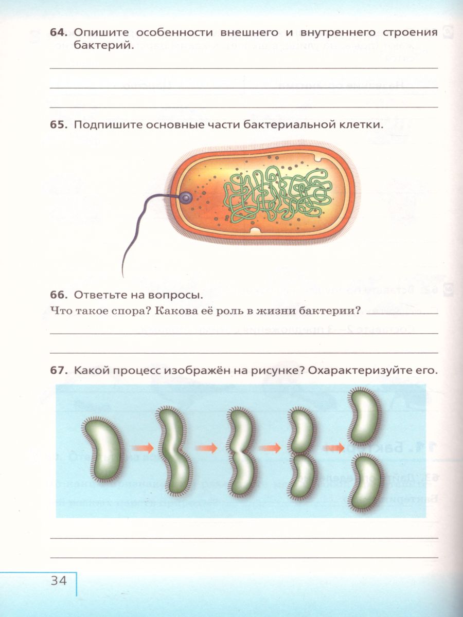 Обложка книги Биология 5 класс. Введение в биологию. Рабочая тетрадь с тестовыми заданиями ЕГЭ. Вертикаль. ФГОС, Автор Сонин Н.И., издательство Дрофа | купить в книжном магазине Рослит