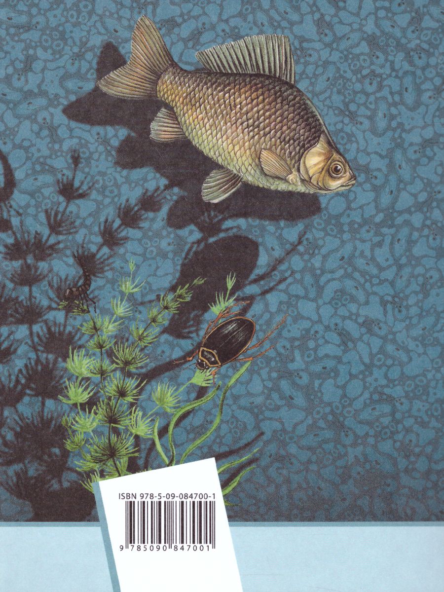 Обложка книги Биология 5 класс. Учебник. ФГОС, Автор Сухова Т.С. Строганов В.И., издательство Просвещение/Союз                                   | купить в книжном магазине Рослит