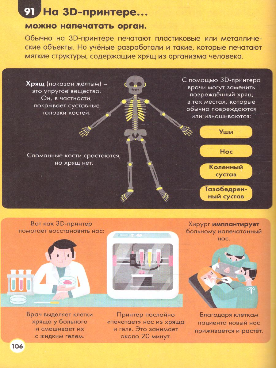 Обложка Тело человека /100ВопросовОтветов, издательство АСТ | купить в книжном магазине Рослит