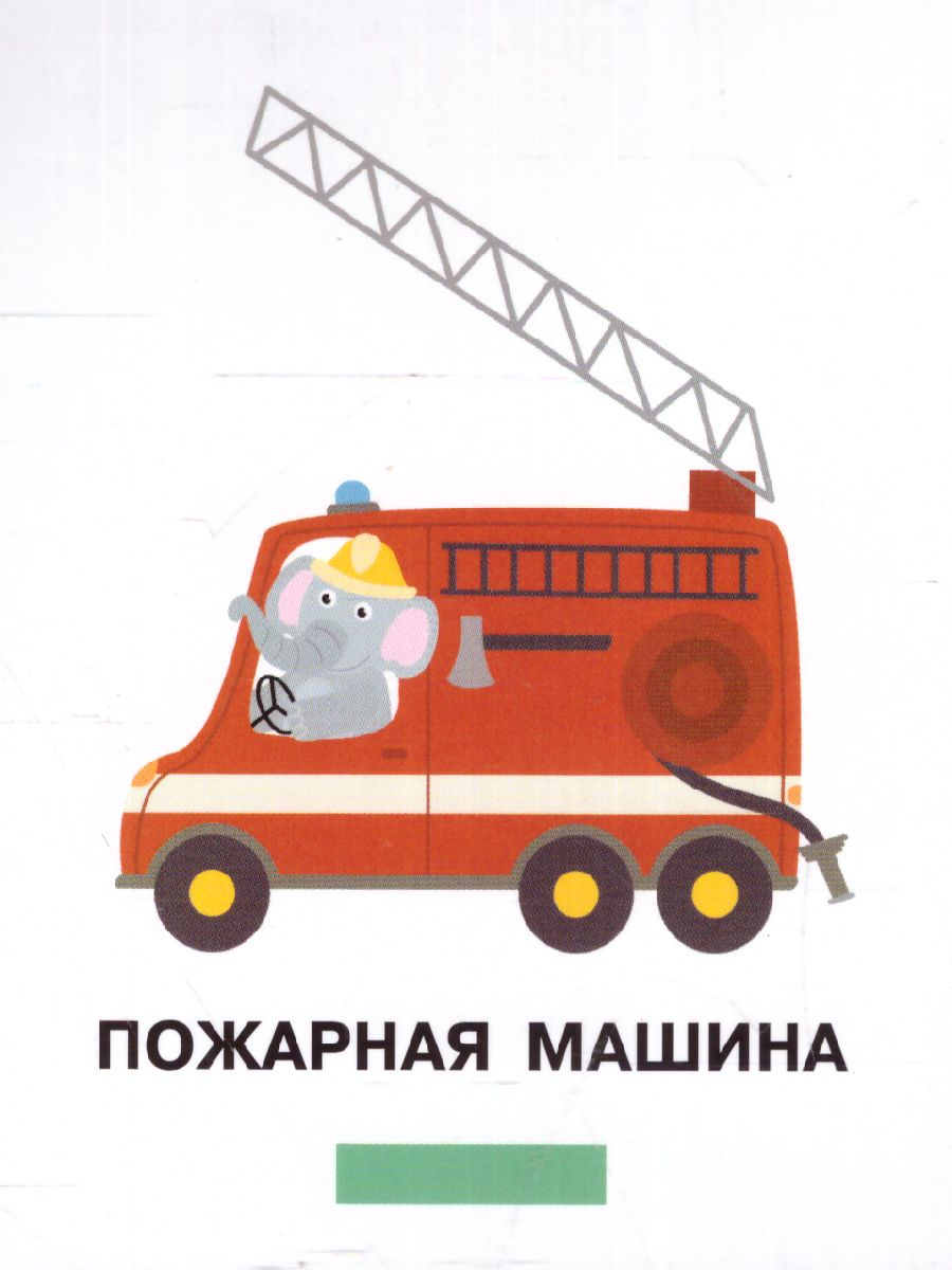 Обложка книги Все, что нужно знать ребенку от 1 до 3. Растения,одежда и обувь,транспорт, Автор Дмитриева В.Г., издательство АСТ | купить в книжном магазине Рослит