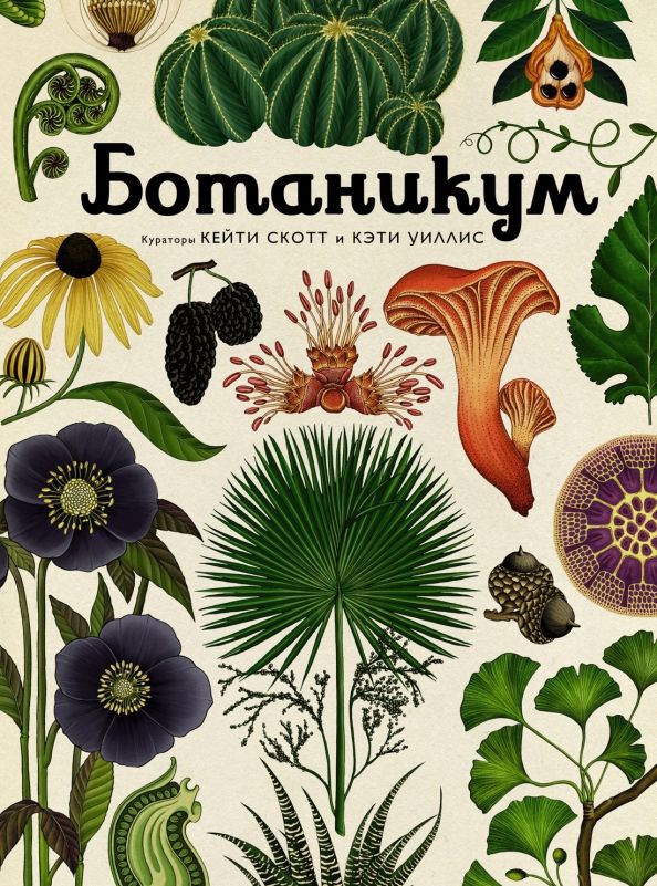 Обложка Ботаникум/Иллюстрированная энциклопедия (Махаон), издательство Махаон | купить в книжном магазине Рослит