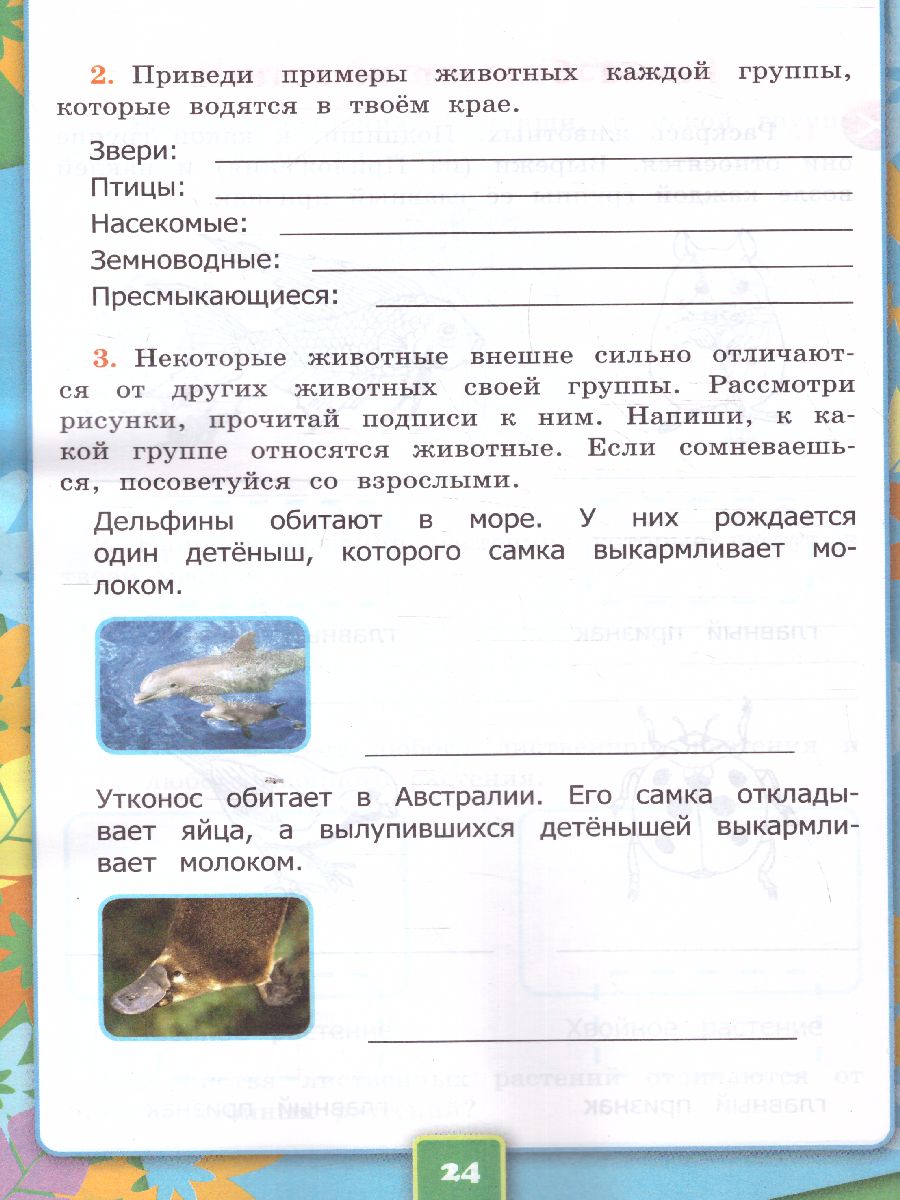 Обложка книги Окружающий мир 2 класс. Рабочая тетрадь. Часть 1. ФГОС (к новому ФПУ), Автор Соколова Н.А., издательство Экзамен | купить в книжном магазине Рослит