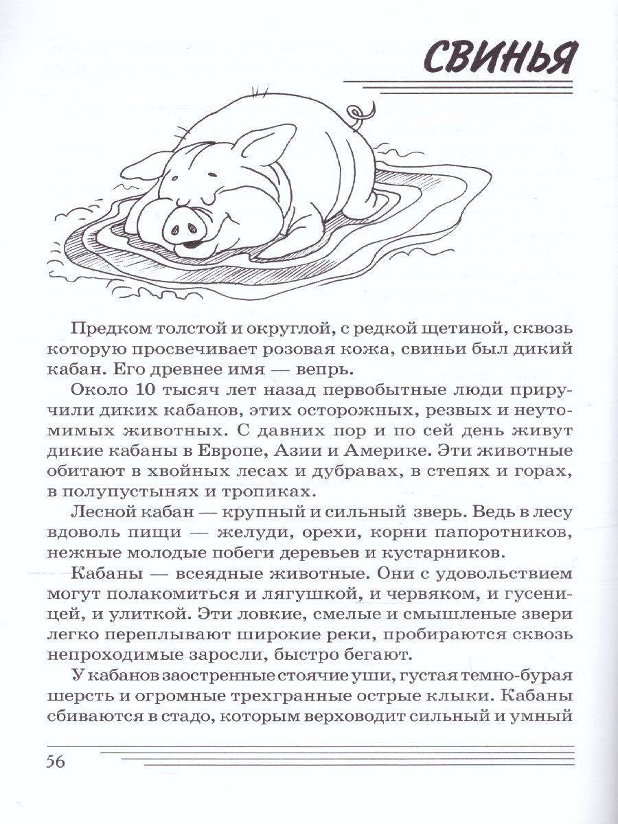 Обложка книги Домашние животные. Какие они? Знакомство с окружающим миром, развитие речи, Автор Шорыгина Т.А., издательство ГНОМ | купить в книжном магазине Рослит