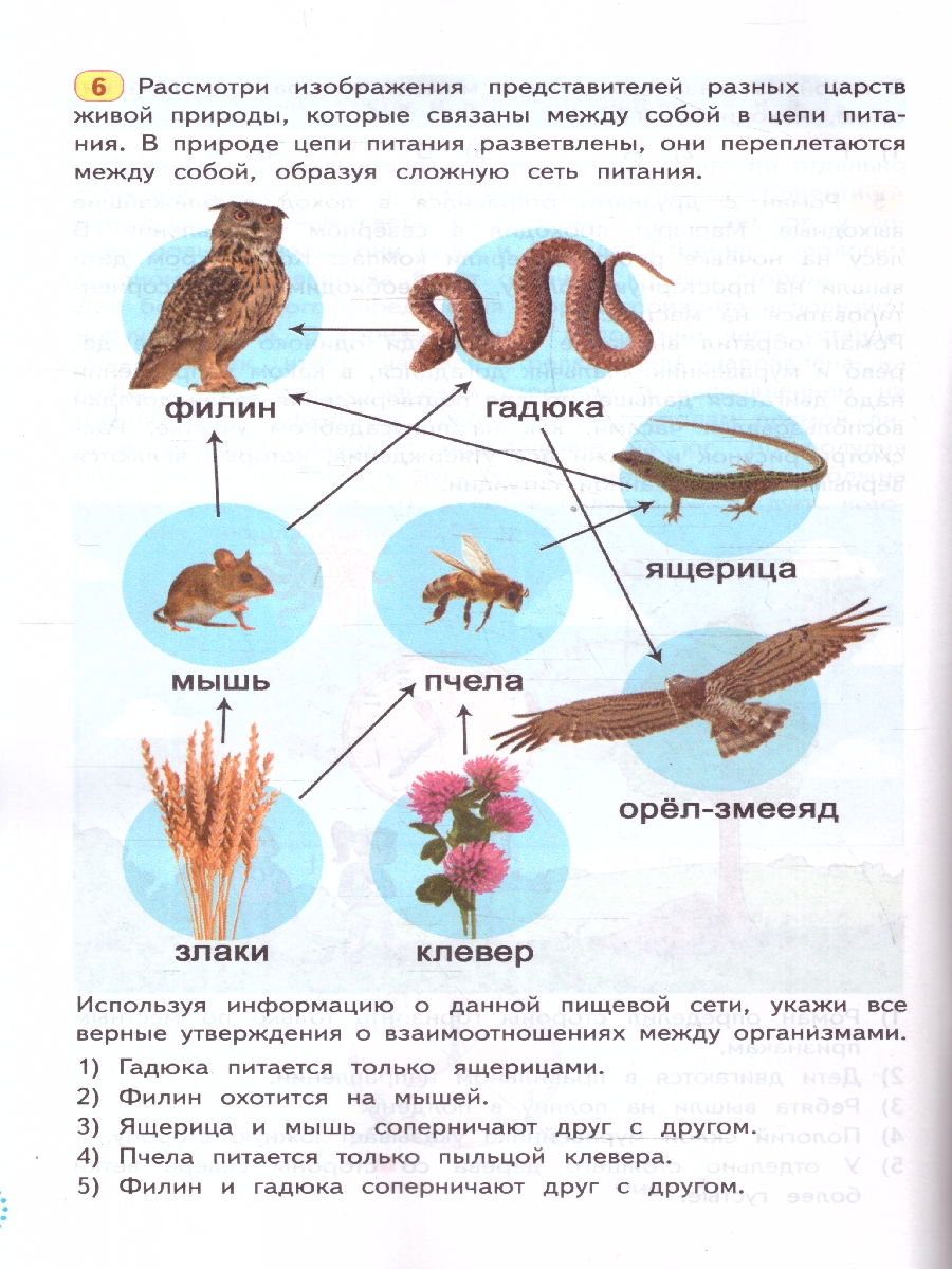 Обложка книги ВПР Функциональная грамотность 4 класс. 6 вариантов. ТЗ ФГОС, Автор Трофимова Е. В. Языканова Е. В., издательство Экзамен | купить в книжном магазине Рослит