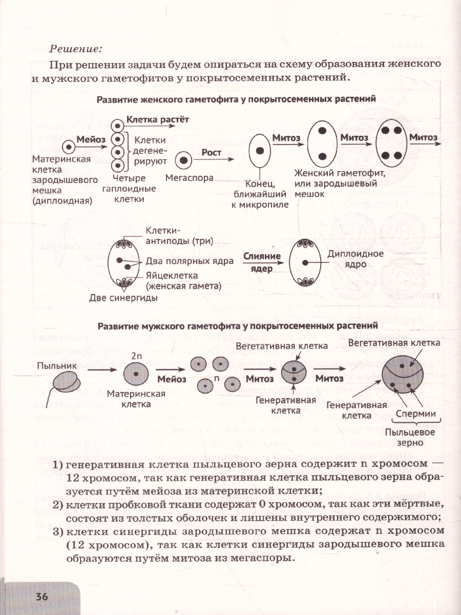 Обложка книги ЕГЭ Биология. Молекулярная биология. Тренировочная тетрадь, Автор Кириленко А. А., издательство ЛЕГИОН | купить в книжном магазине Рослит