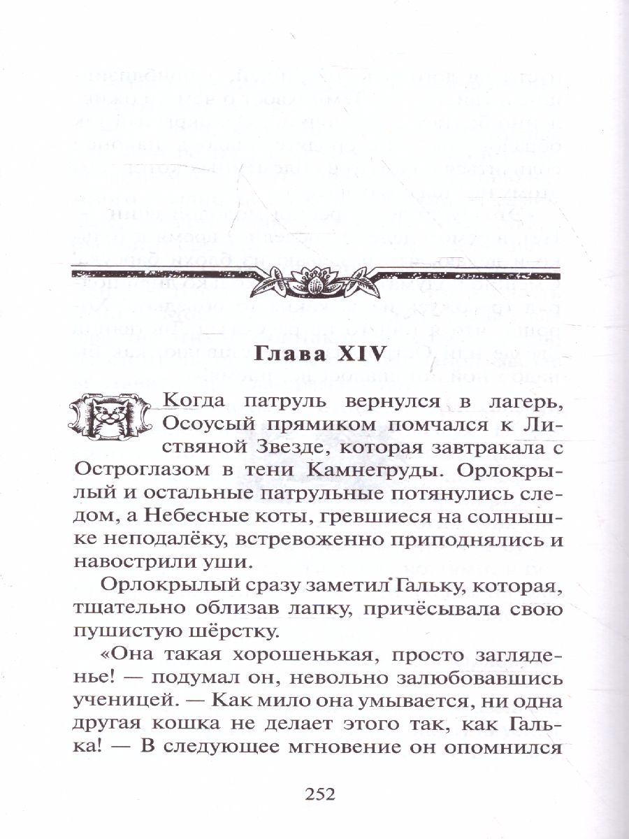 Обложка Коты-воители. Цикл "Путешествия Орлокрылого". Ослепление, издательство Просвещение/Союз                                   | купить в книжном магазине Рослит