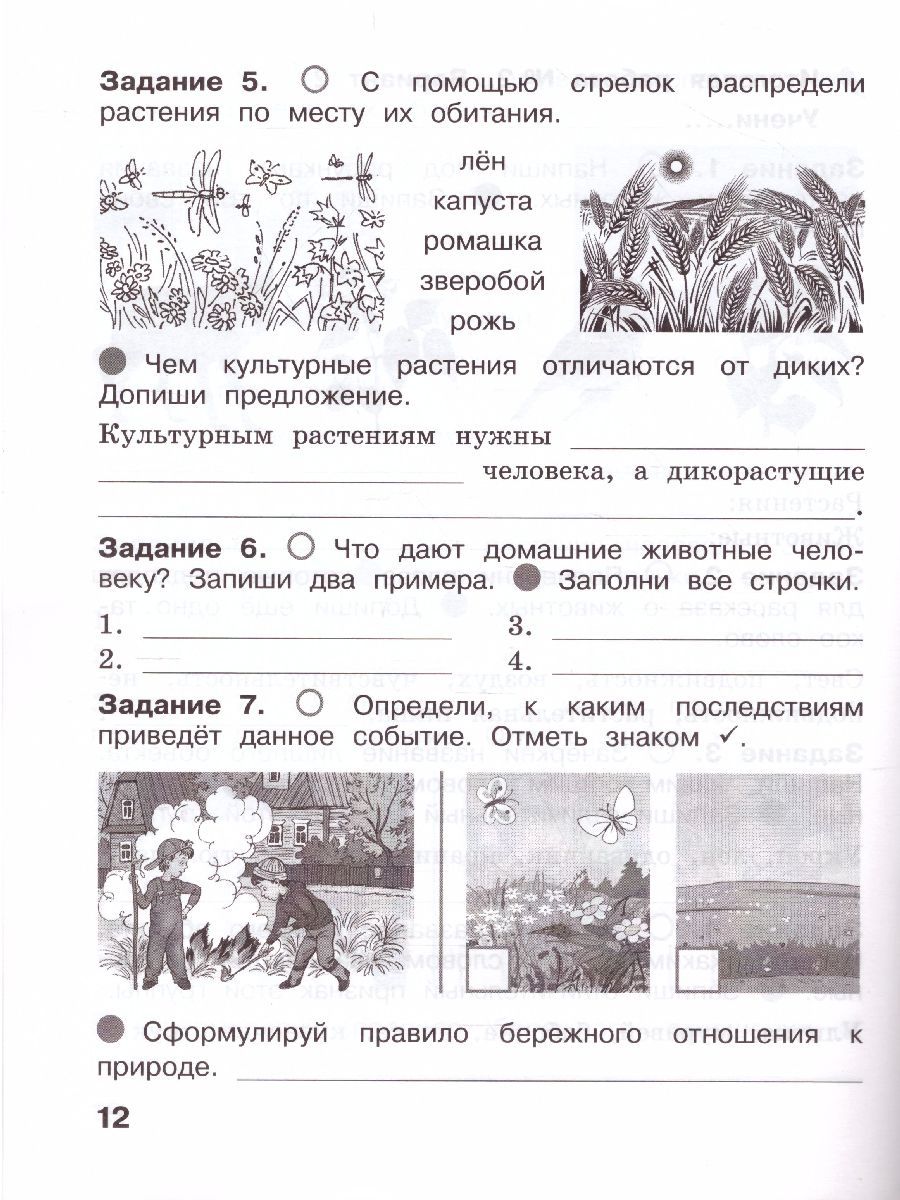 Обложка книги Окружающий мир 2 класс. Итоговые работы, Автор Вахрушев А.А. Бурский О.В., издательство Просвещение/Союз                                   | купить в книжном магазине Рослит