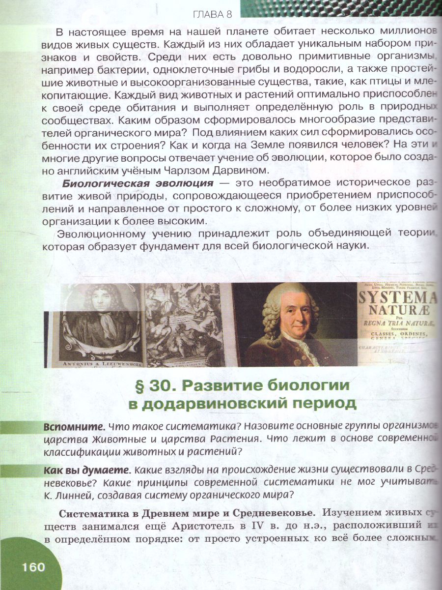 Обложка книги Данилов Биология 9 кл. Учебное пособие  (РС), Автор Данилов С.Б. Владимирская А.И. Романова Н.И., издательство Русское слово | купить в книжном магазине Рослит
