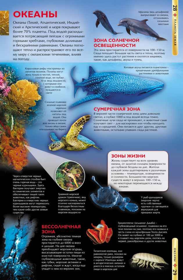 Обложка Планета Земля. (ДЭР), издательство РОСМЭН | купить в книжном магазине Рослит